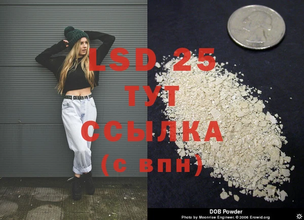 ПСИЛОЦИБИНОВЫЕ ГРИБЫ Коряжма