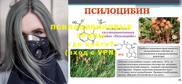 PSILOCYBIN Красноперекопск
