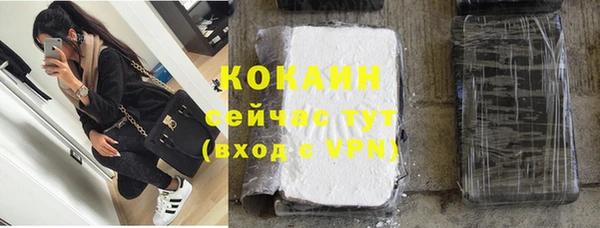 кокс Корсаков