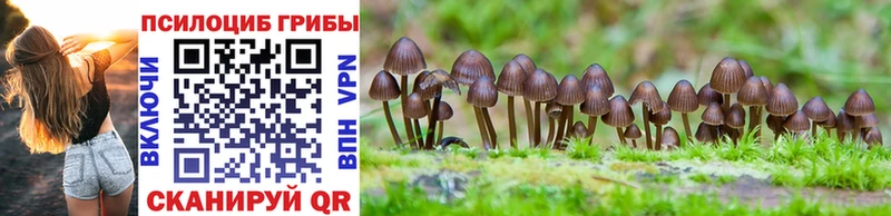 ОМГ ОМГ как войти Красавино Галлюциногенные грибы Magic Shrooms